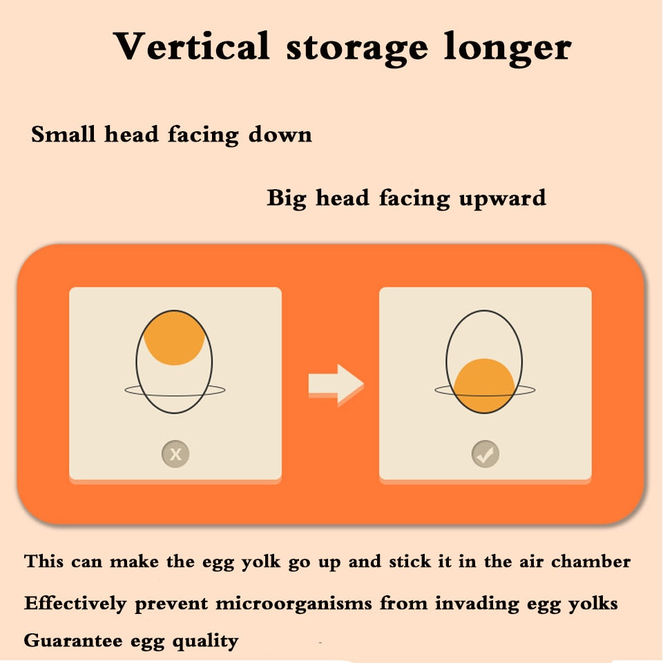 Double Layer Egg Storage